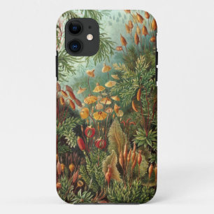 Vintage Nature Art 5 iPhone 11 Case