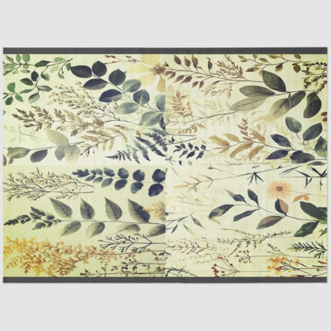 Vintage Nature Collage Tissue Paper by Elsie Lane (Front)