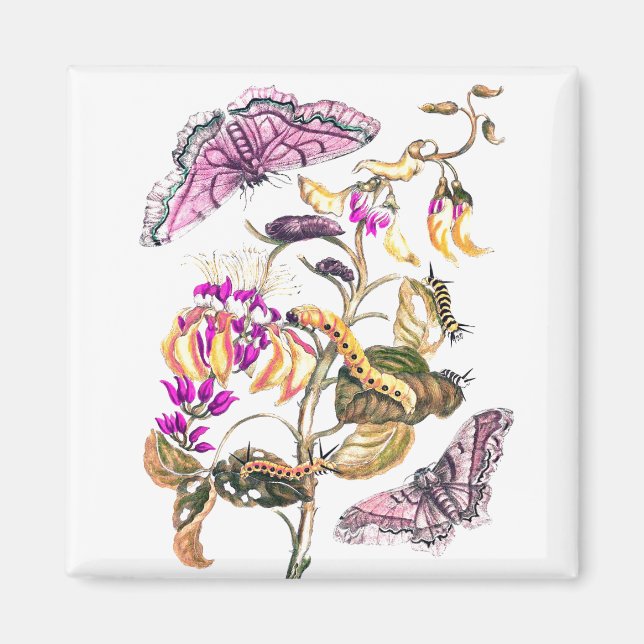 Vintage nature illustration flower and butterfly magnet (Front)