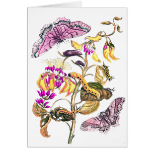 Vintage nature illustration flower butterfly plant