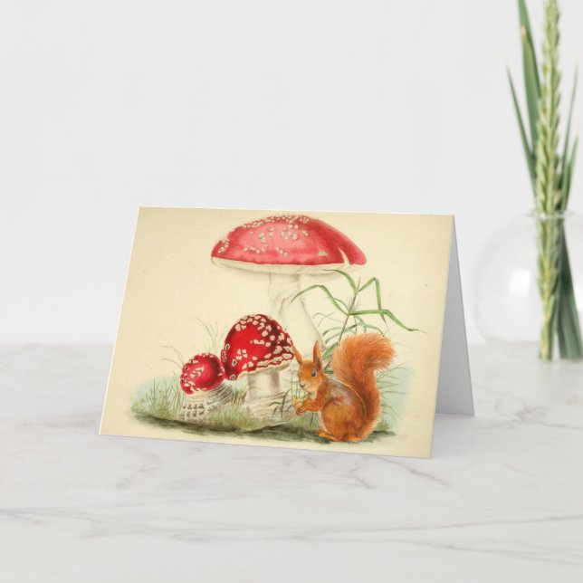 Vintage Nature Illustration - Squirrel, Mushrooms  Card (Front)