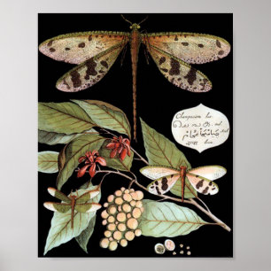 Vintage Nature Poster
