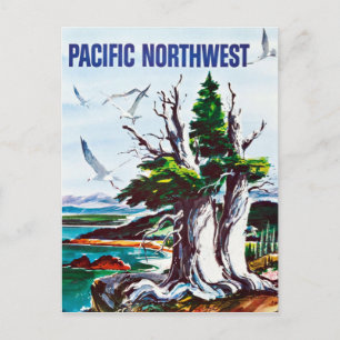 Vintage Nature Wildlife Pacific Northwest Travel Postcard