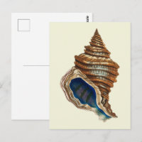 Vintage Nautical George Shaw Blue Conch Shell Art