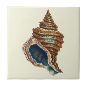 Vintage Nautical George Shaw Blue Conch Shell Art Tile