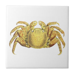 Vintage Nautical Variegated Crab Coastal Wall Art Tile