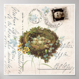 Vintage Nest Flowers Italian Postcard Art Print