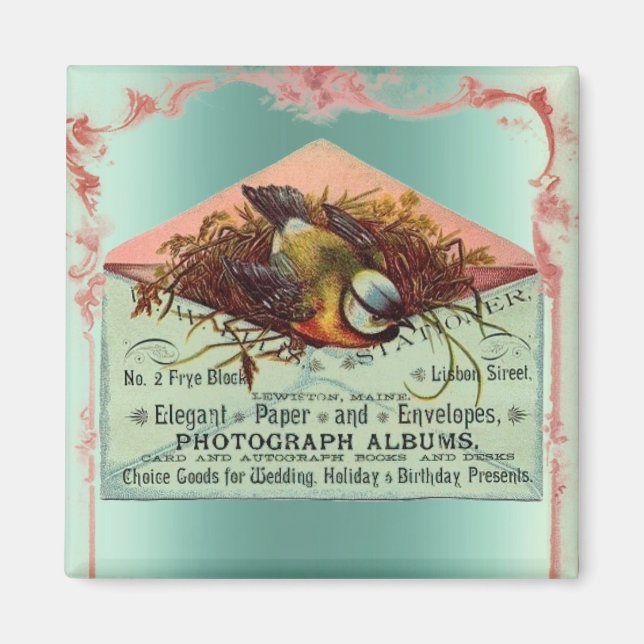 Vintage nesting bird pink teal cute elegant  magnet (Front)