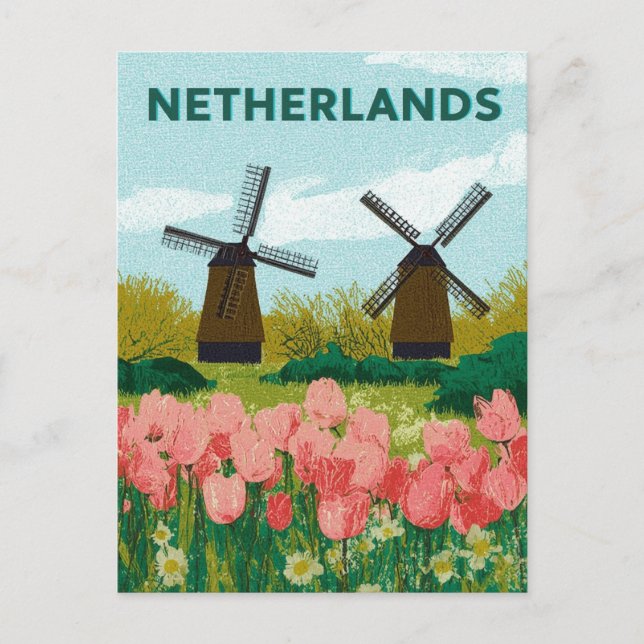 Vintage Netherlands Windmills Tulips Flower Travel Postcard (Front)