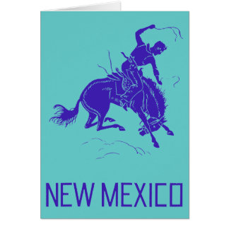 Vintage New Mexico