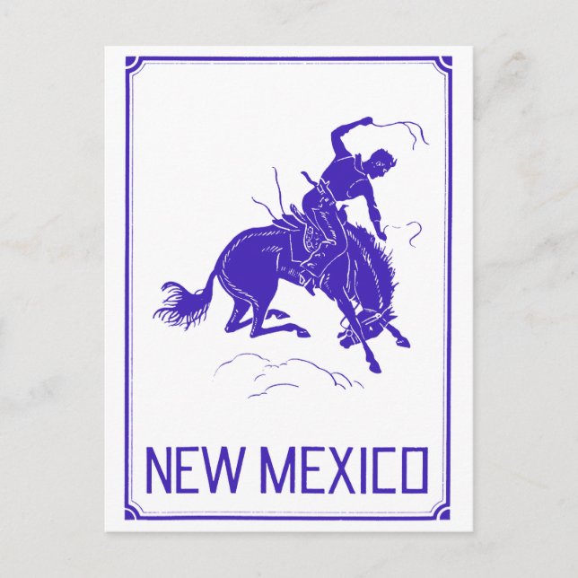 Vintage New Mexico Postcard (Front)