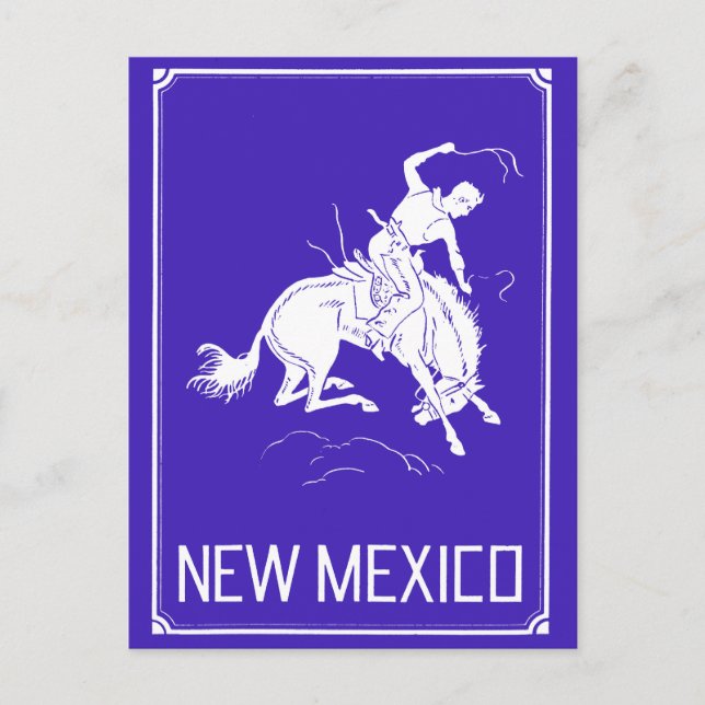 Vintage New Mexico Postcard (Front)
