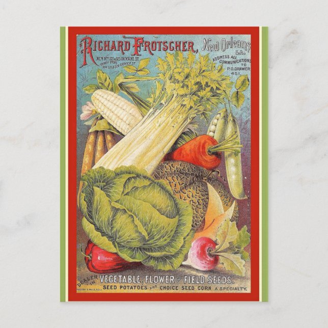 Vintage New Orleans Gardening Seeds Postcard (Front)