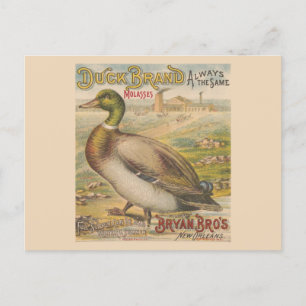 Vintage New Orleans Louisiana Retro Molasses Postcard