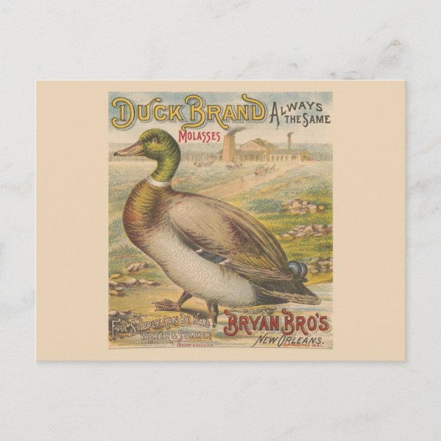 Vintage New Orleans Louisiana Retro Molasses Postcard (Front)