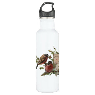 Vintage New Years Birds 710 Ml Water Bottle