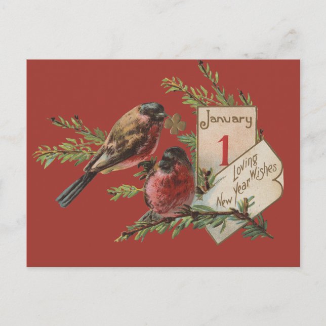 Vintage New Years Birds Holiday Postcard (Front)