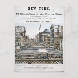 Vintage New York Illustration Postcard