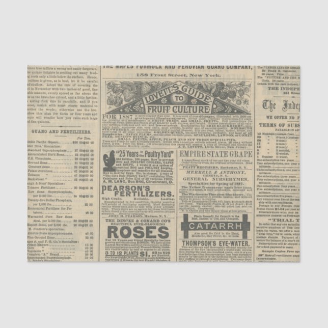 Vintage Newspaper Ads Tissue Paper (Front)