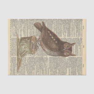 Vintage Newspaper with Barn Owl Decoupage Tissue Paper