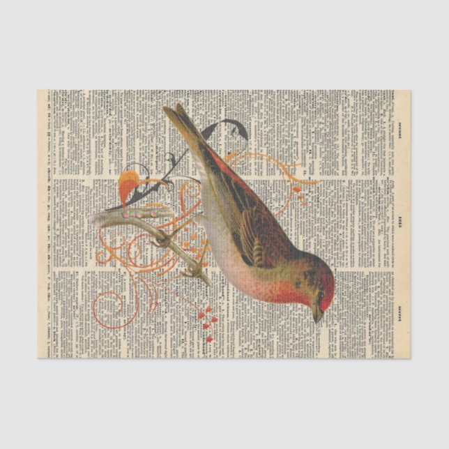 Vintage Newspaper with Bird Decoupage Tissue Paper (Front)