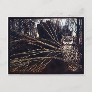 Vintage Night Owl Rackham Postcard