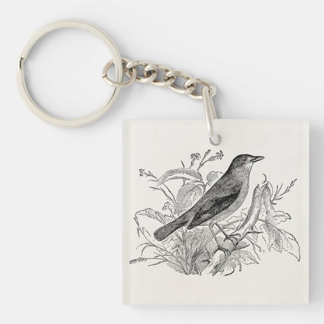Vintage Nightingale Bird Personalised Retro Birds Key Ring (Front)