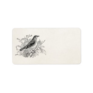 Vintage Nightingale Bird Personalised Retro Birds Label