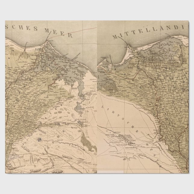 Vintage Nile River Delta 1859 Wrapping Paper (Seam)