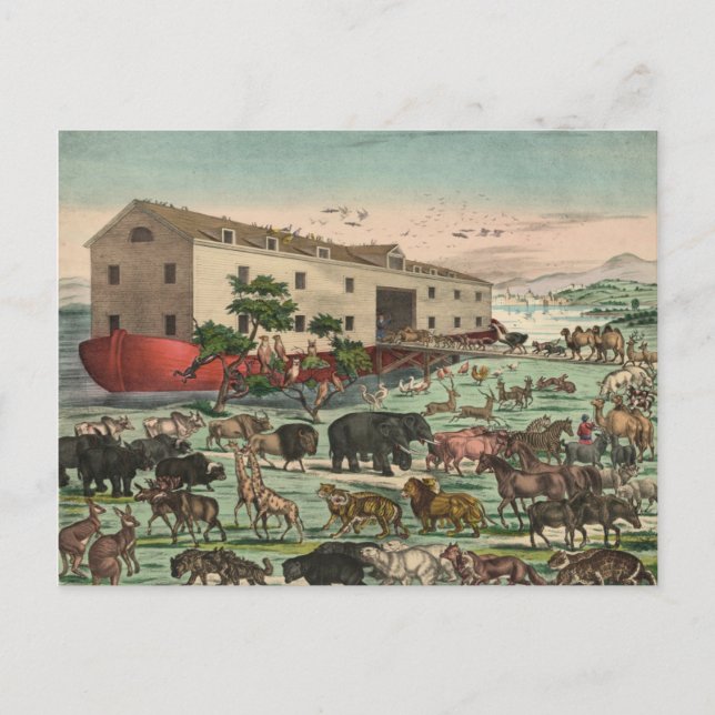 Vintage Noah's Ark Postcard (Front)