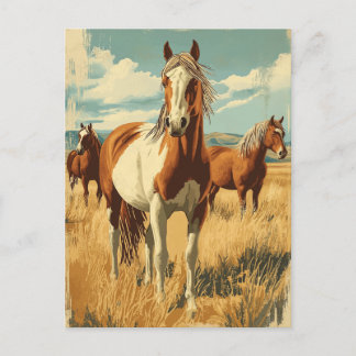 Vintage North America Wildhorses Postcard