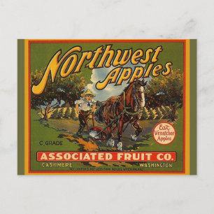 Vintage Northwest WA Apples Draught Horse Postcard