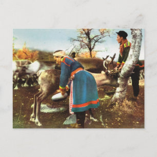 Vintage Norway, Milking a reindeer Postcard