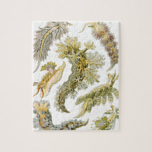 Vintage Nudibranchia, Sea Slugs by Ernst Haeckel Jigsaw Puzzle
