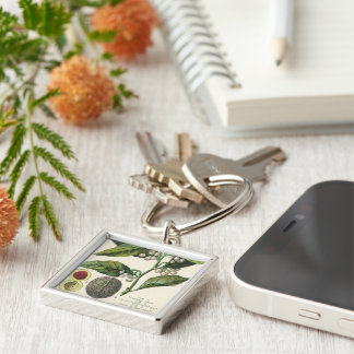 Vintage Nutmeg Plant Fruit Seeds, Food Herbs Spice Key Ring