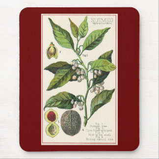 Vintage Nutmeg Plant Fruit Seeds, Food Herbs Spice Mouse Mat