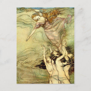 Vintage Nymph Book Illustration Postcard