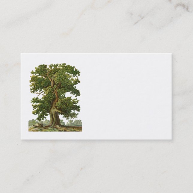 Vintage Oak Tree Business Card (Front)