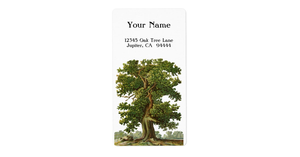 Vintage Oak Tree Custom Address Label Zazzle