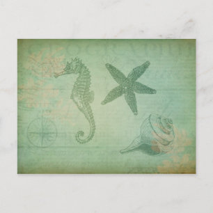 Vintage Ocean Animals and Seashells Postcard