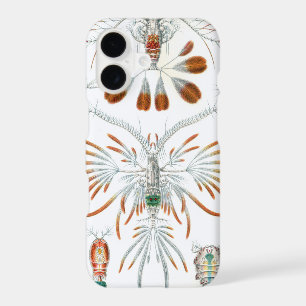 Vintage Ocean Animals, Copepoda by Ernst Haeckel