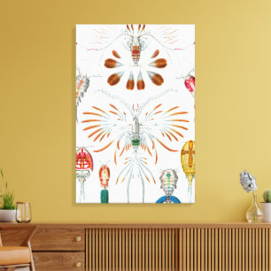 Vintage Ocean Animals, Copepoda by Ernst Haeckel Canvas Print