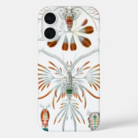 Vintage Ocean Animals, Copepoda by Ernst Haeckel