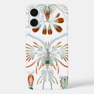 Vintage Ocean Animals, Copepoda by Ernst Haeckel iPhone 16 Case