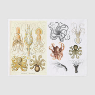 Vintage Ocean Octopus Squid Decoupage Collage Tissue Paper