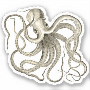 Vintage Octopus