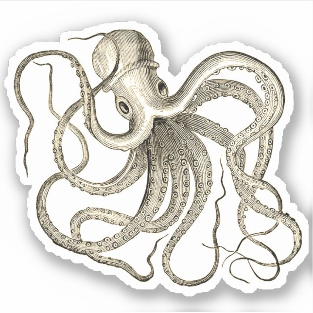 Vintage Octopus (Front)