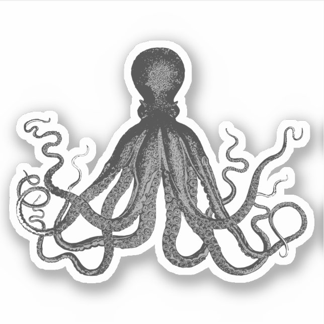 Vintage Octopus (Front)