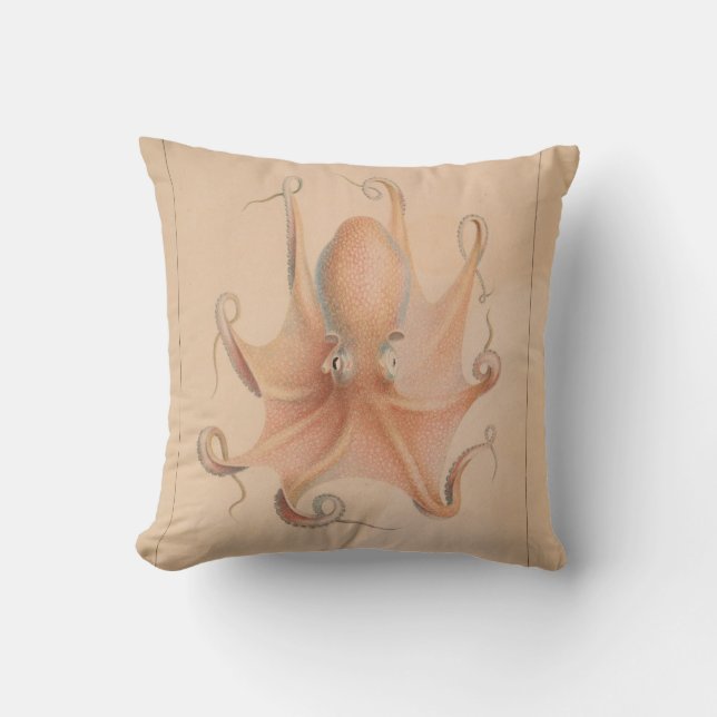 Vintage Octopus 1851 Eledon Aldrovandi Cushion (Front)