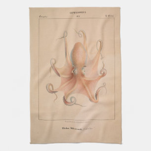 Vintage Octopus 1851 Eledon Aldrovandi Tea Towel